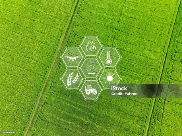 istockphoto-1904084976-1024x1024